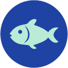 Poisson